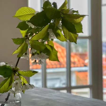 Cozy Seaview In The Heart Of Son *